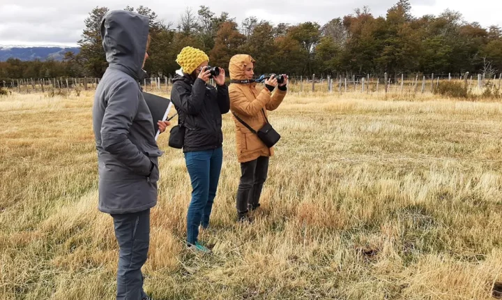 1 IV investigacion-fundo cerro galera-memoria austral 2