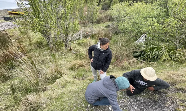 1 IV investigacion-patagonia insular-memoria austral 5