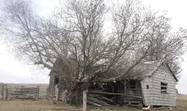 2 AV-arquitectura vernacula-memoria austral 6