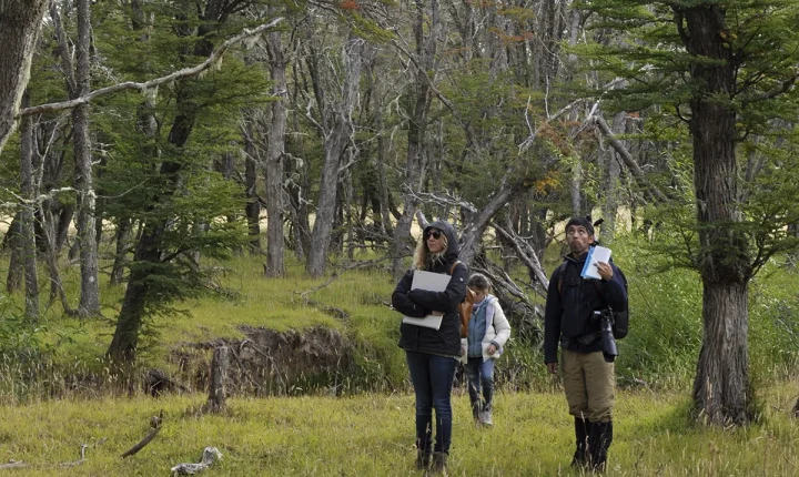 2 CA creacion artistica-memoria austral 5