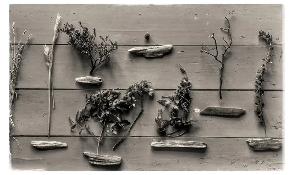 2 CA creacion artistica-memoria austral 8