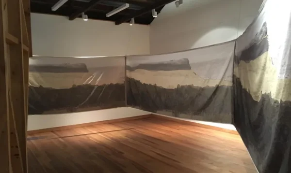 2 EX exhibicion-puerto cristal-expresion de un proceso minero en aysen-memoria austral 4