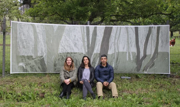 2 EX exhibicion-vernacula aysen-memoria austral 8