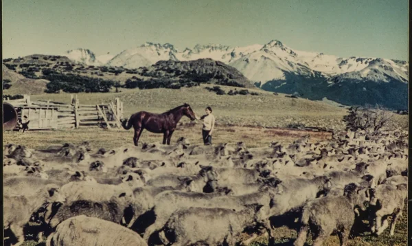 4 museo estancia nirehuao