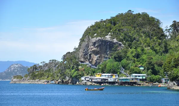 5 PI-patagonia insular-memoria austral 10