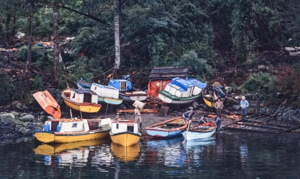 5 PI-patagonia insular-memoria austral 11