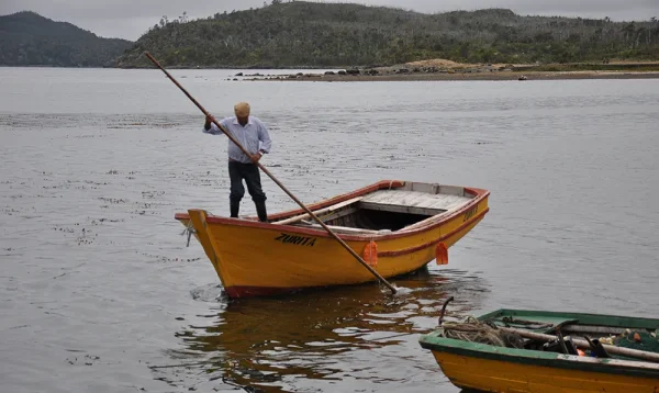 5 PI-patagonia insular-memoria austral 3