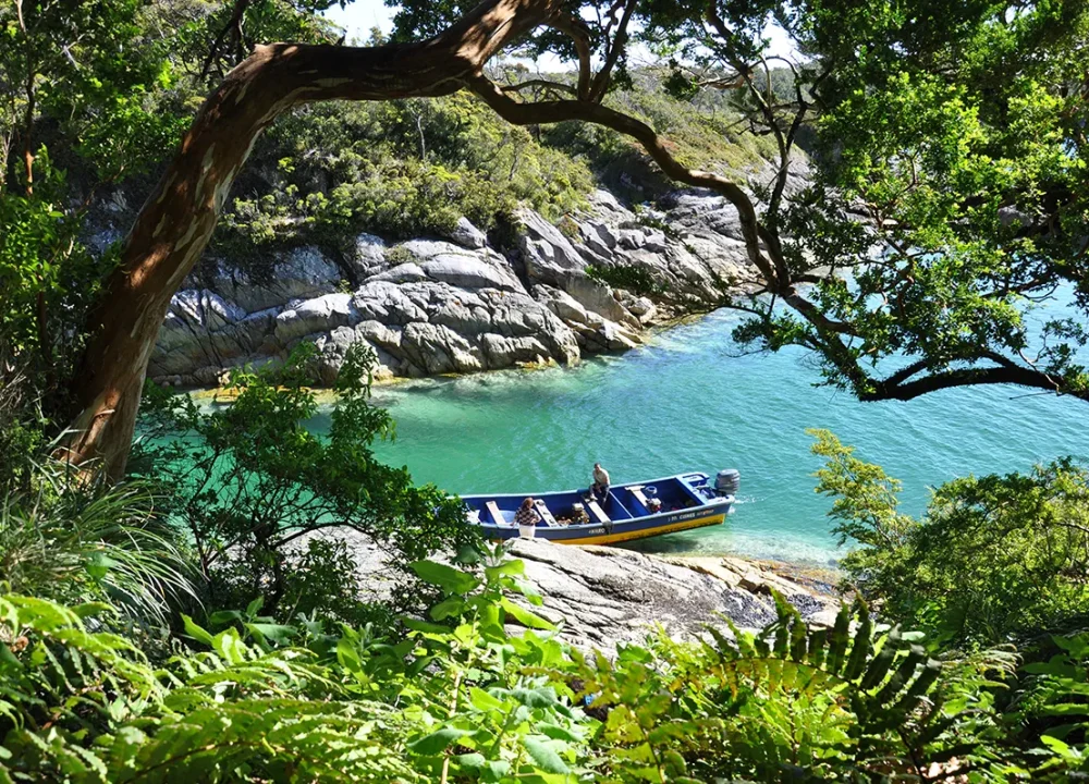 5 PI-patagonia insular-memoria austral 5