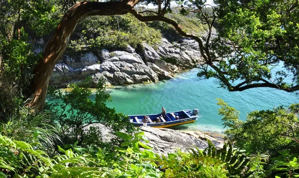 5 PI-patagonia insular-memoria austral 5