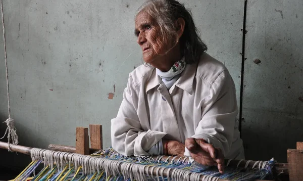 5 PI-patagonia insular-memoria austral 7