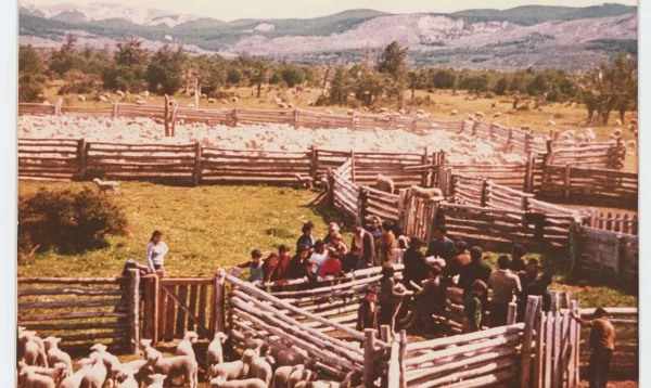 5 museo casa ehijos oporto
